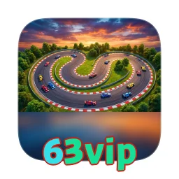 63vip